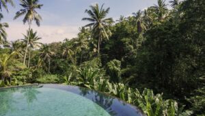 Cuatro Elementos Eco-Habitat