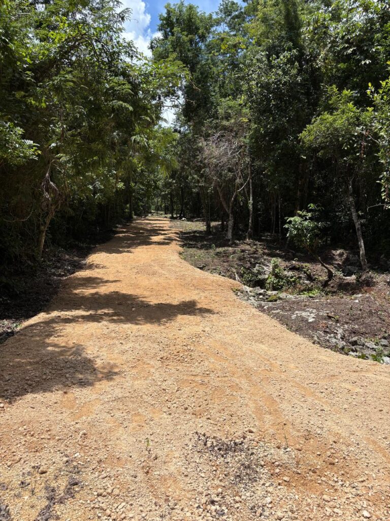 Land on the Cenotes Route