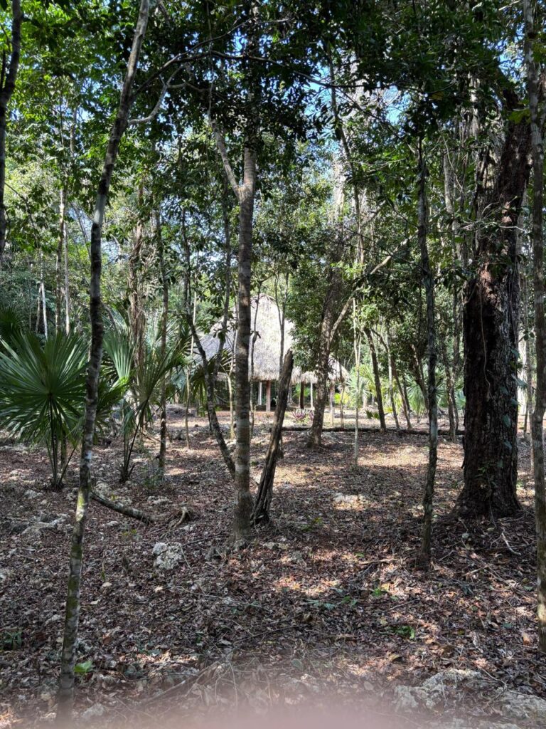 Land in Leona Vicario, Riviera Maya