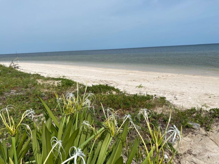 Lot 1 Oceanfront in Costa Esmeralda