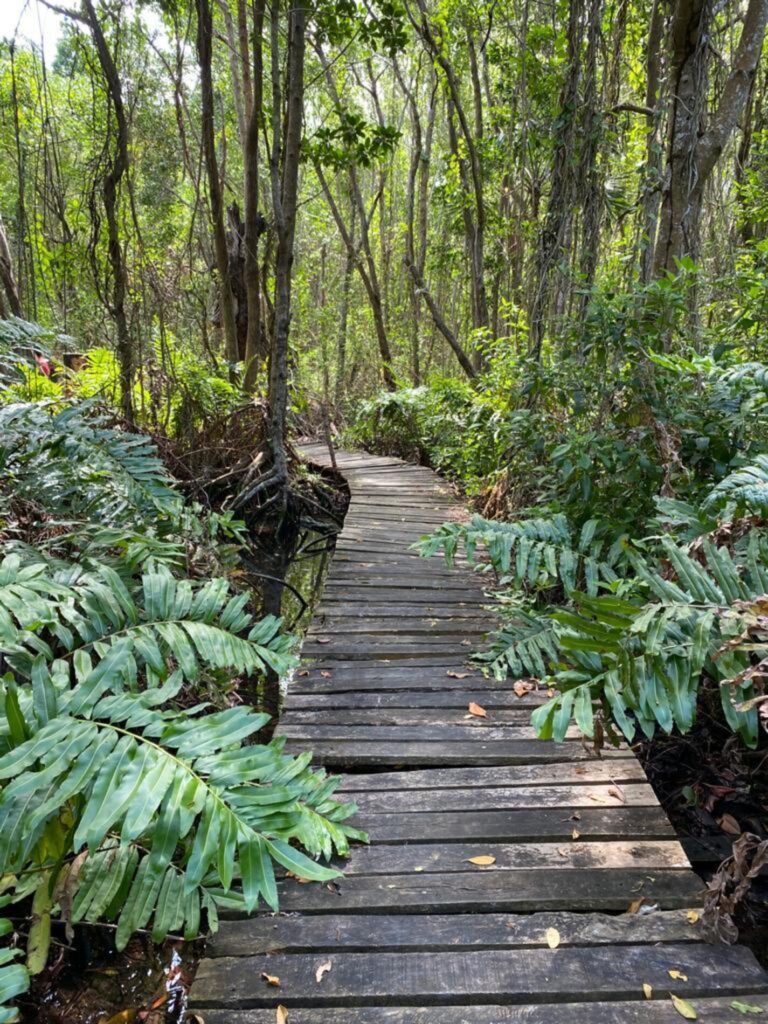 Lot 5 Oceanfront in Costa Esmeralda