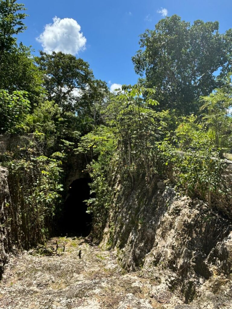 5.6 Hectares with Access to Cenote in Playa del Carmen