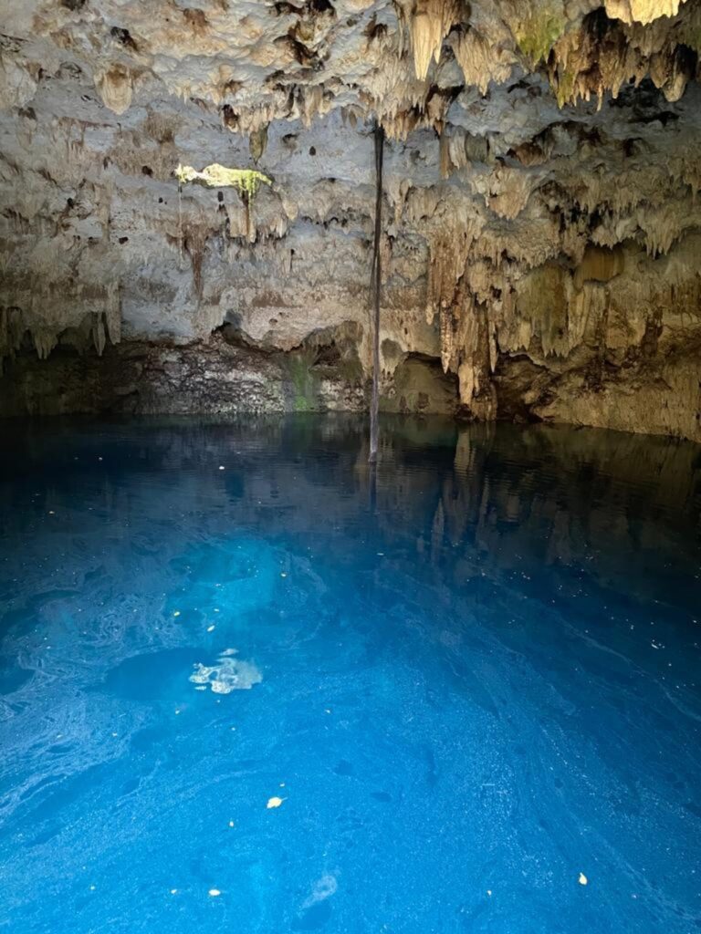 134 Hectares with Private Cenote in Playa del Carmen