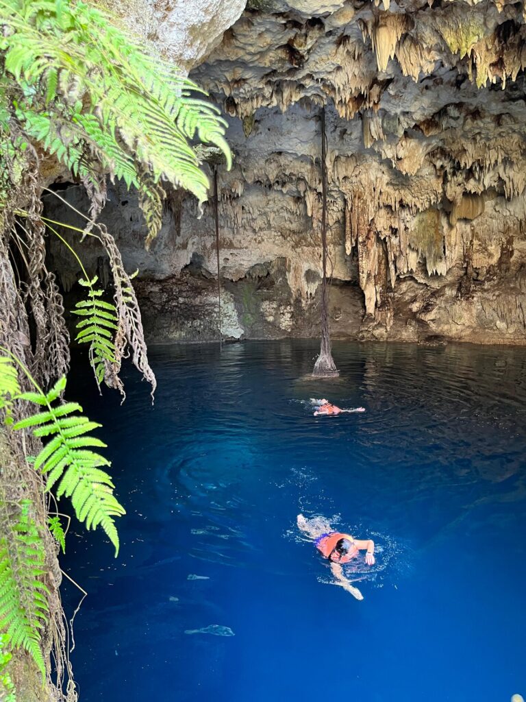 69 Hectares with Natural Cenote in Playa del Carmen